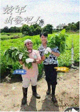河马影视编辑精选纪实综艺条目配图